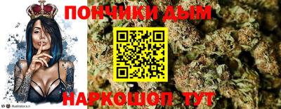 крисы Ставрополь
